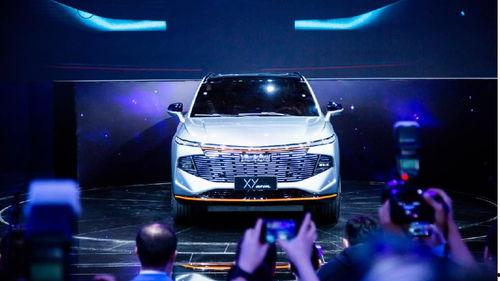 哈佛最新爆料新闻视频,最新爆料新闻视频深度解析  第1张