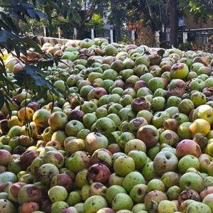 礼泉县爆料新闻最新,最新爆料揭示惊人真相  第1张 礼泉县爆料新闻最新,最新爆料揭示惊人真相  第1张