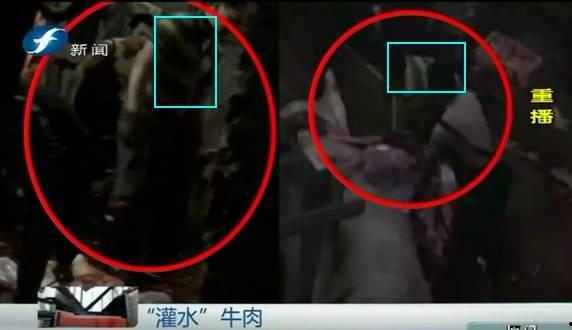 屠宰最新爆料消息网,屠宰行业惊人内幕大揭秘!  第3张 屠宰最新爆料消息网,屠宰行业惊人内幕大揭秘!  第3张