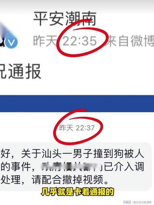 爆料低价视频博主有哪些,低成本内容创作背后的秘密  第2张 爆料低价视频博主有哪些,低成本内容创作背后的秘密  第2张