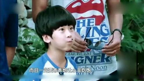 八卦娱乐爆料恶搞图片,恶搞图片背后的八卦娱乐风云