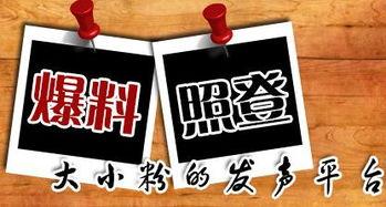 重庆新闻在哪儿能够爆料,市民爆料,聚焦民生热点问题